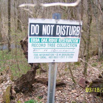 100 6248