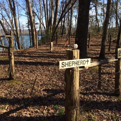 Shepard Cem