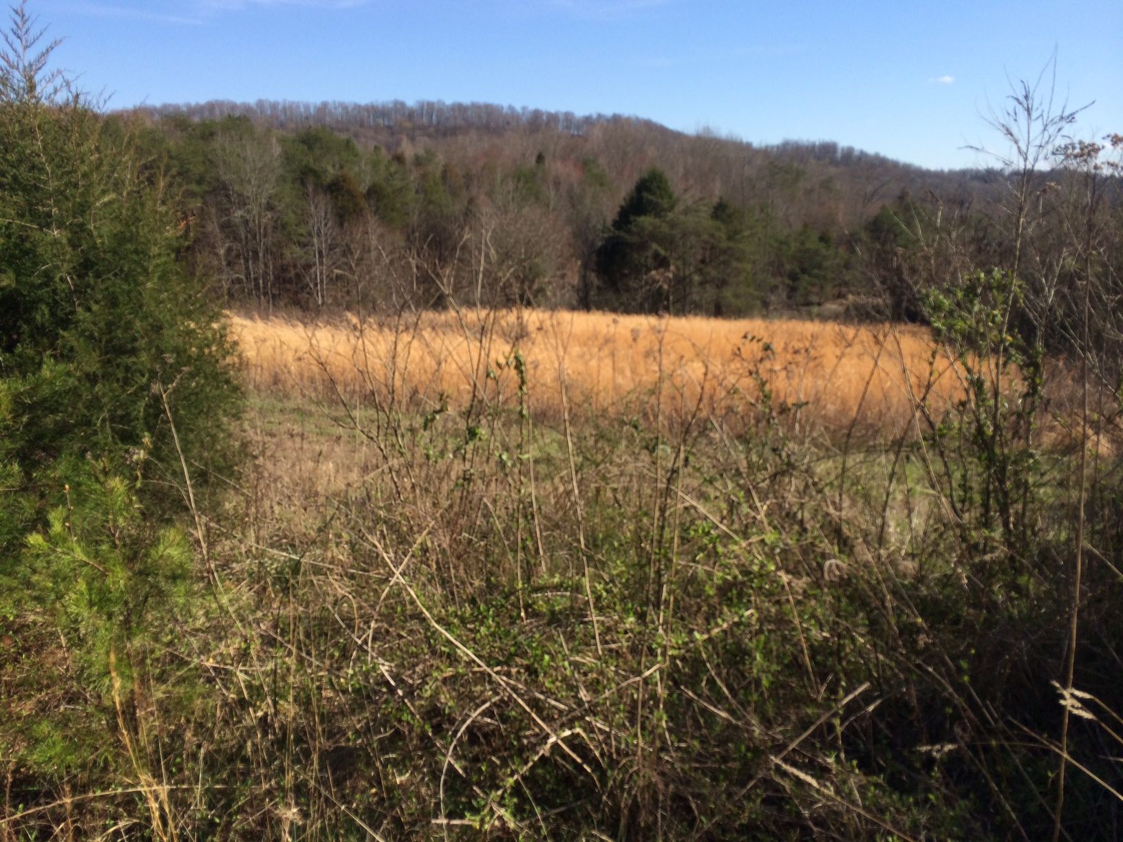 More Than Fur – Mammal Hike – Solway Bend